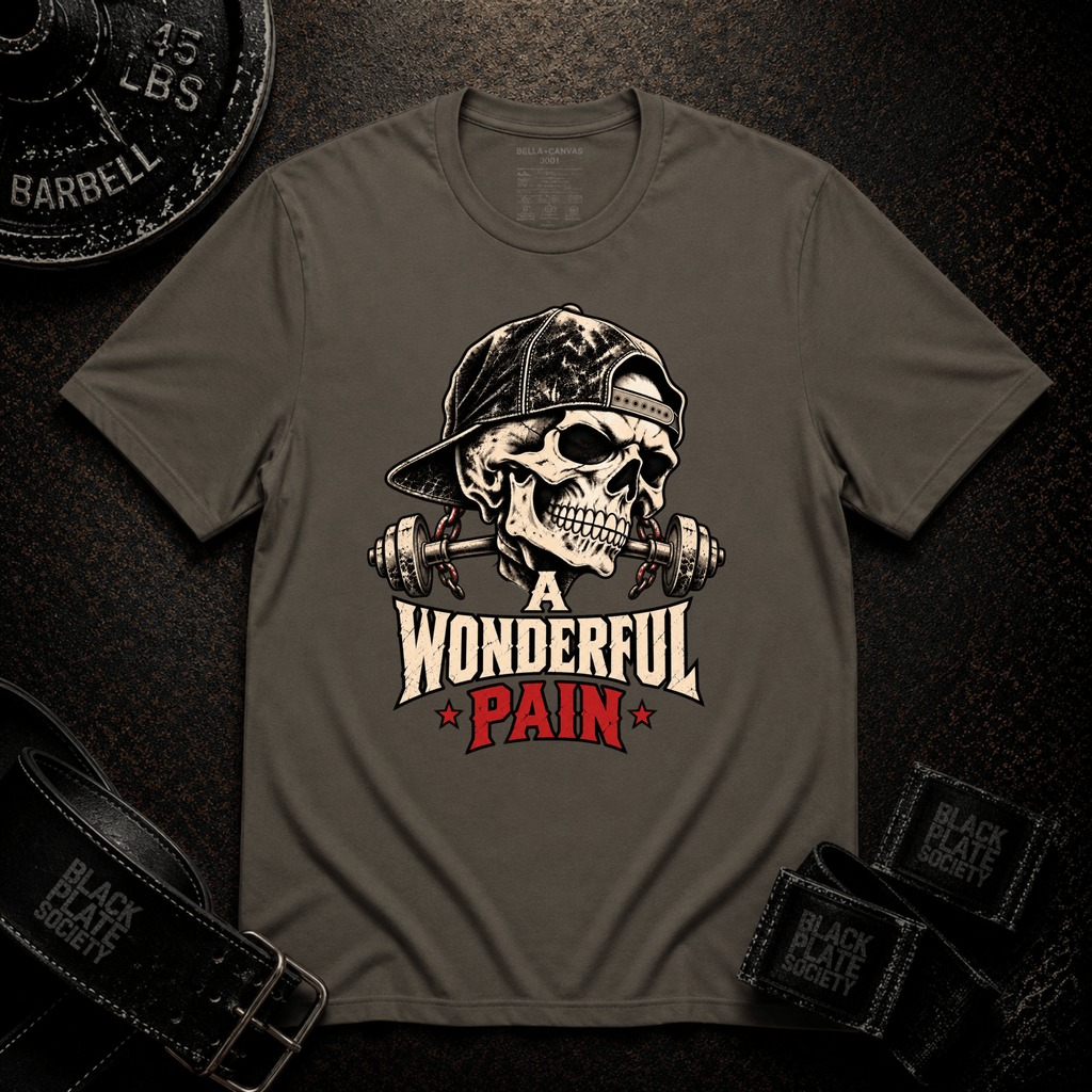 A Wonderful Pain T‑Shirt