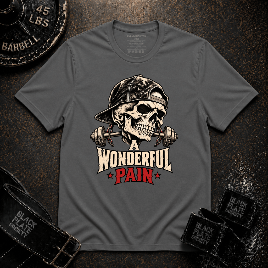 A Wonderful Pain T‑Shirt