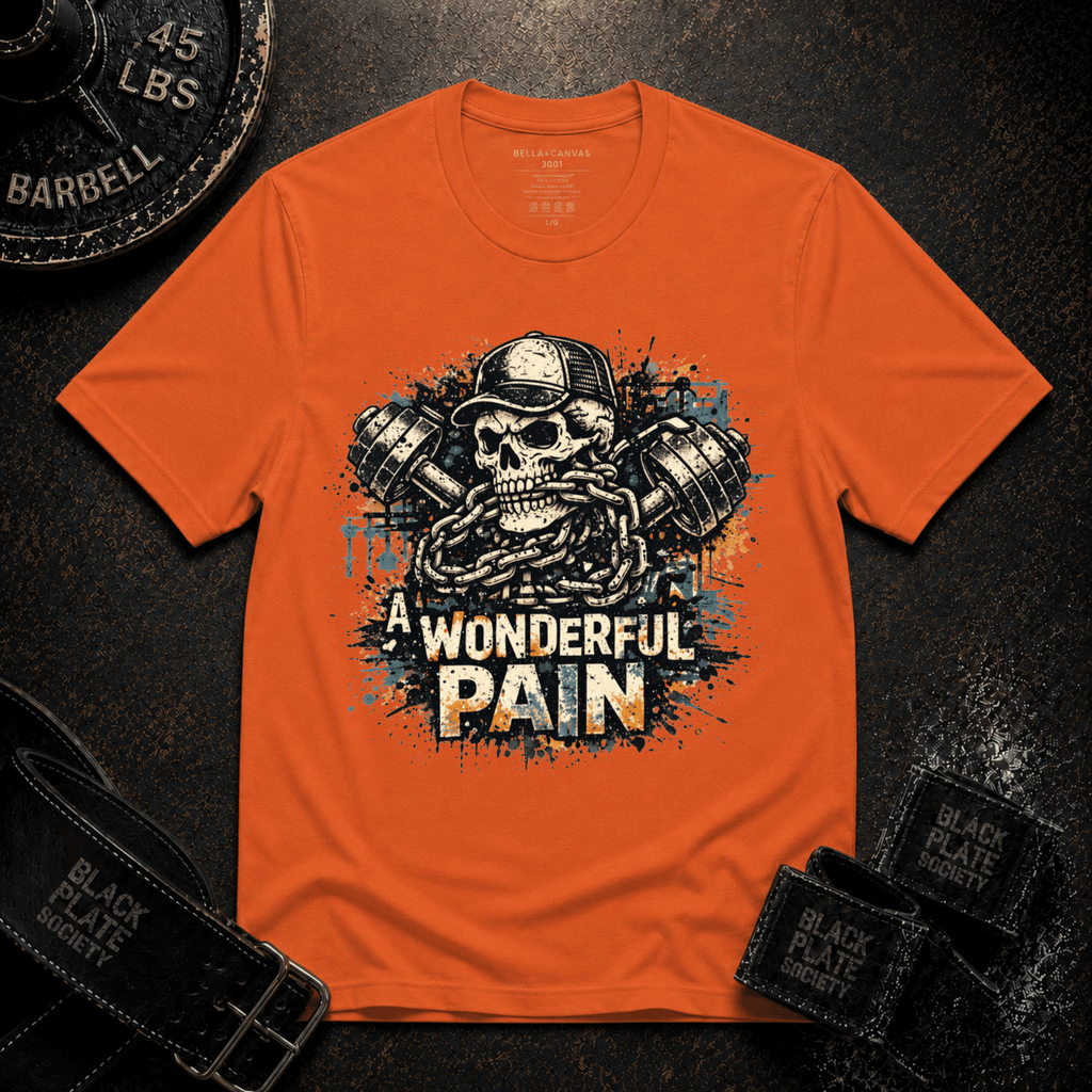 A Wonderful Pain T-Shirt